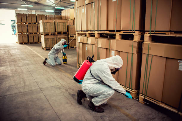Reliable Eldorado, IL Pest Control Solutions
