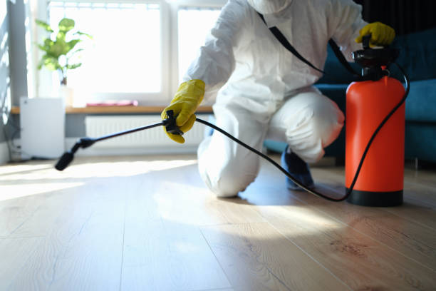 Best Pest Prevention Services  in Eldorado, IL