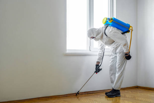 Best Pest Control Near Me  in Eldorado, IL