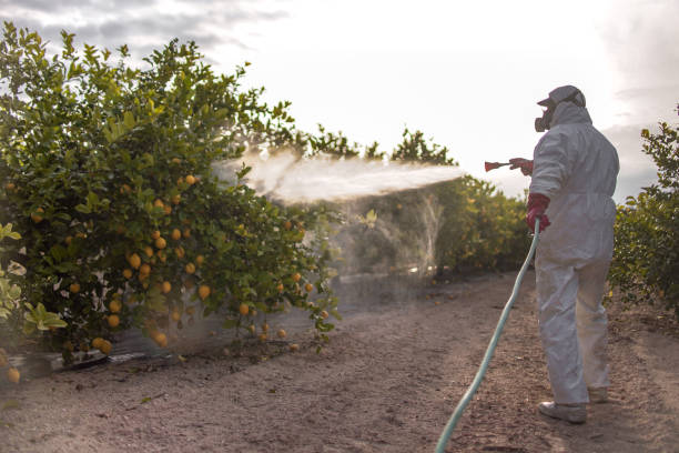 Best Pest Inspection Near Me  in Eldorado, IL