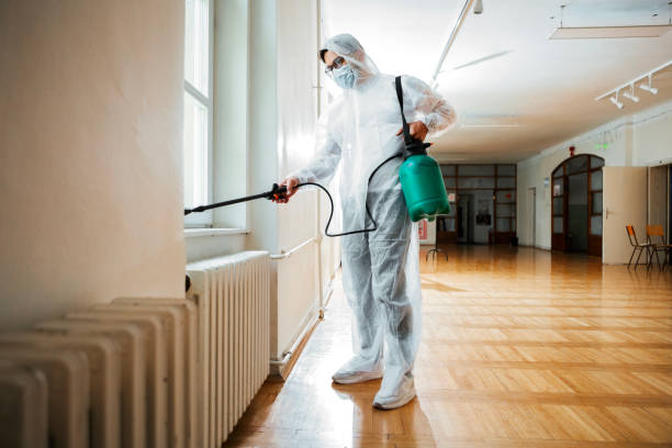 Best Mosquito Control Services  in Eldorado, IL