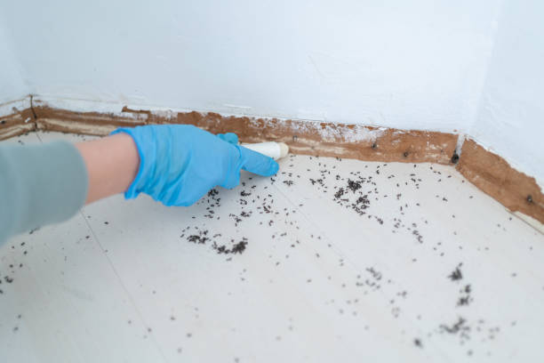 Pest Control for Restaurants in Eldorado, IL